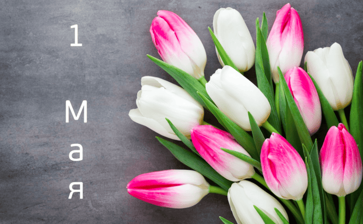 С праздником весны и труда!