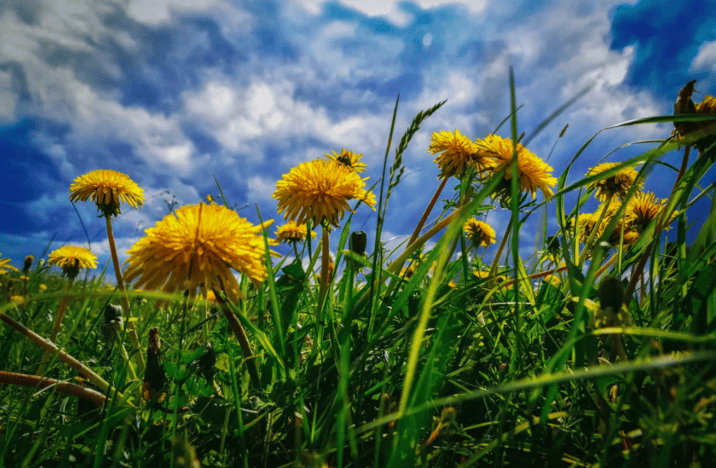 Приятный сюрприз в приемной НАДПО