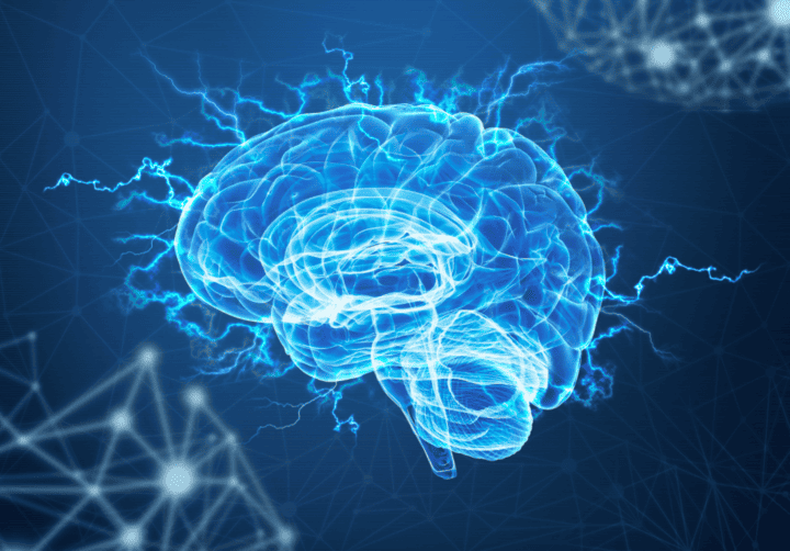 22 июля – Всемирный день мозга
