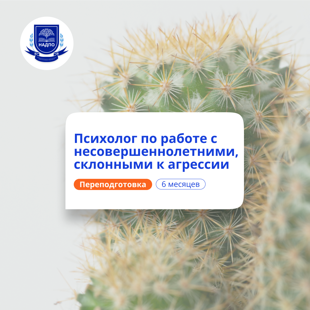Психолог по работе с агрессией у детей. Переподготовка