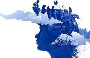 Психика: что это такое, её структура, функции и свойства. Объясняем простыми словами