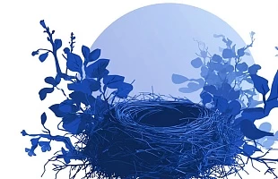 Синдром опустевшего гнезда: как жить счастливо и полноценно, когда дети выросли и уехали из дома