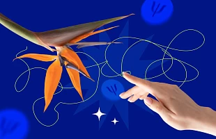 Что такое провокативная психология?